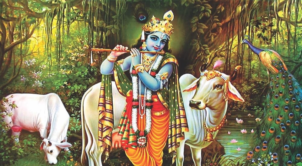 9 Names of Shri Krishna and the Stories Behind Them Shri Krishna  loved deities of Sanatan Dharma